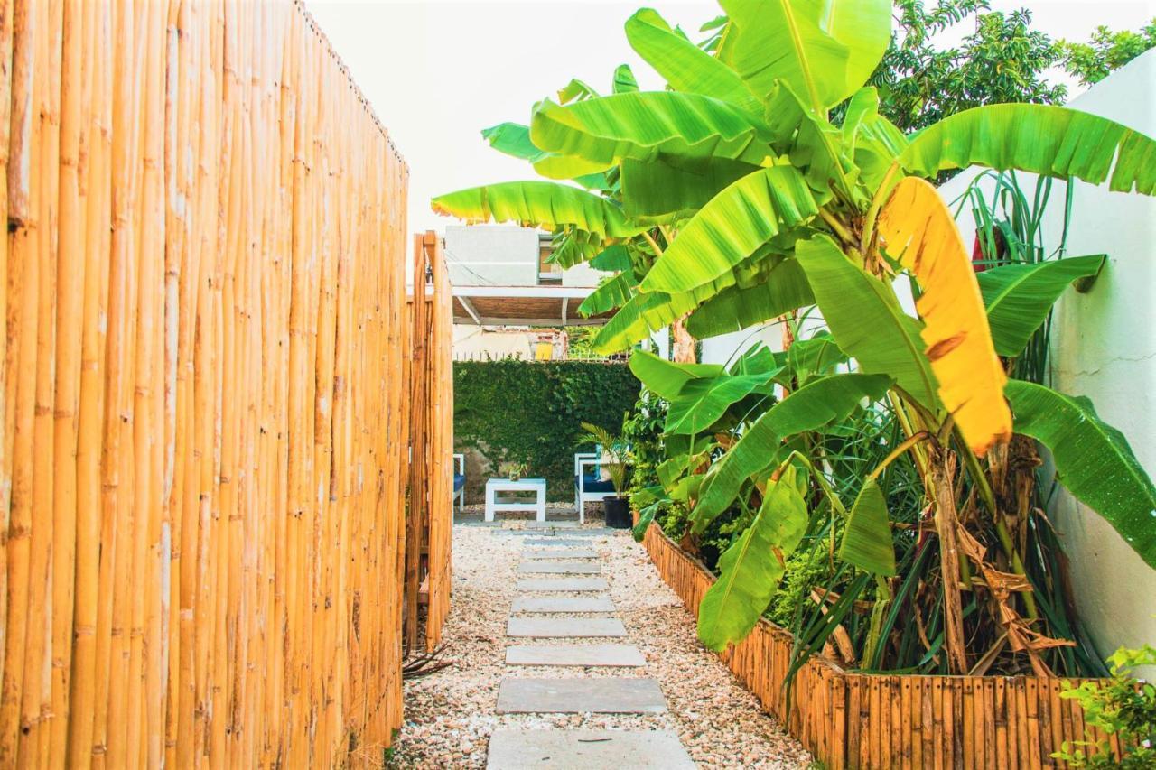 Eventuality B&B New Kingston Buitenkant foto