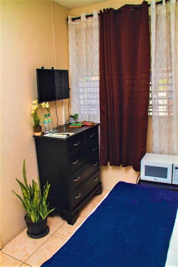 Eventuality B&B New Kingston Buitenkant foto