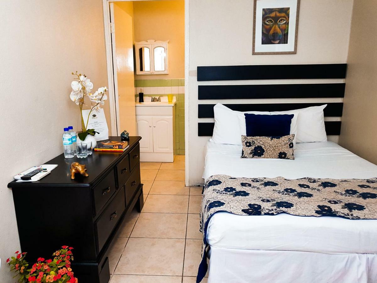 Eventuality B&B New Kingston Buitenkant foto